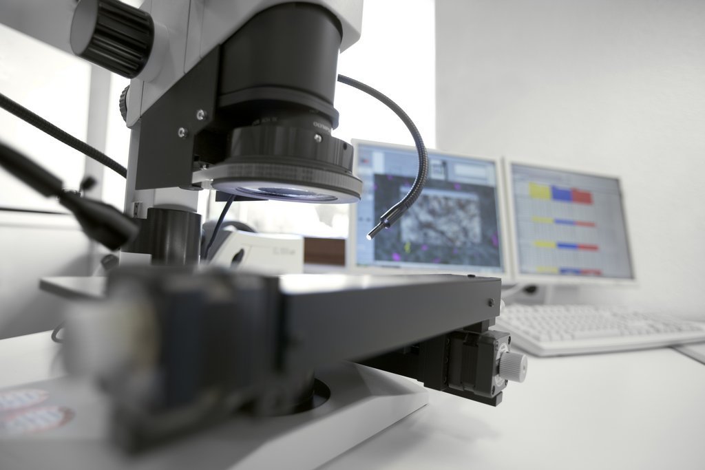 Stereomicroscope for automatic particle measurement and counting with evaluation software on screen